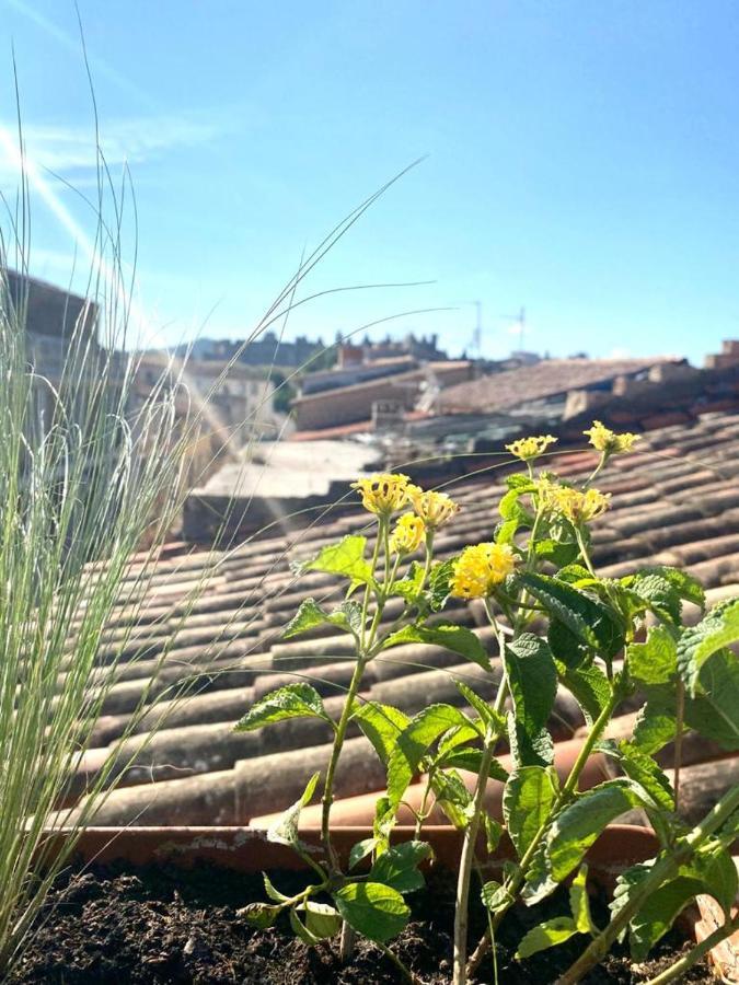 Rooftop Face à la Cité 'RFC' Carcassonne Esterno foto